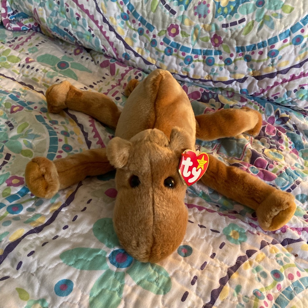 Hump day Humphrey Ty Beanie baby